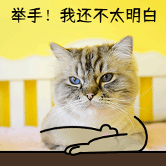 640 (1).gif